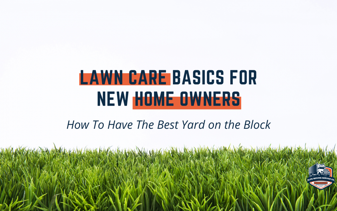 Lawn Care Basics for New Homeowners: How to Have the Best Yard On The Block