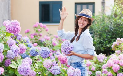 7 Tips for Getting to Know Your New Neighbors